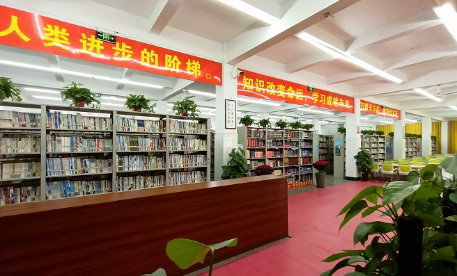 最准三肖