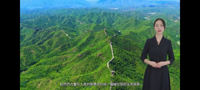 最准三肖