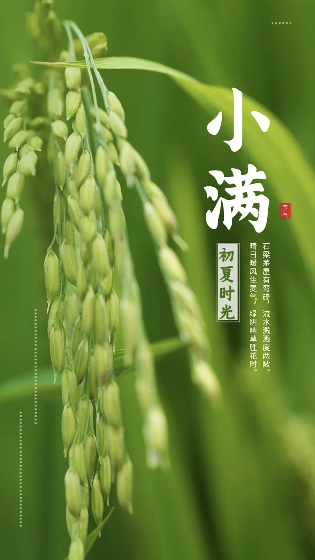 最准三肖
