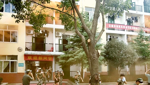 最准三肖
